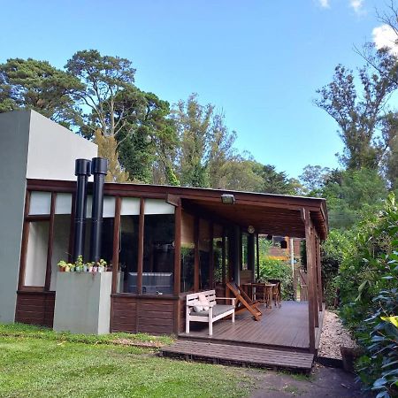 Las Cortaderas Bosque Peralta Ramos Mar del Plata Bagian luar foto