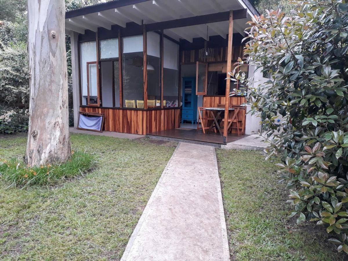 Las Cortaderas Bosque Peralta Ramos Mar del Plata Bagian luar foto