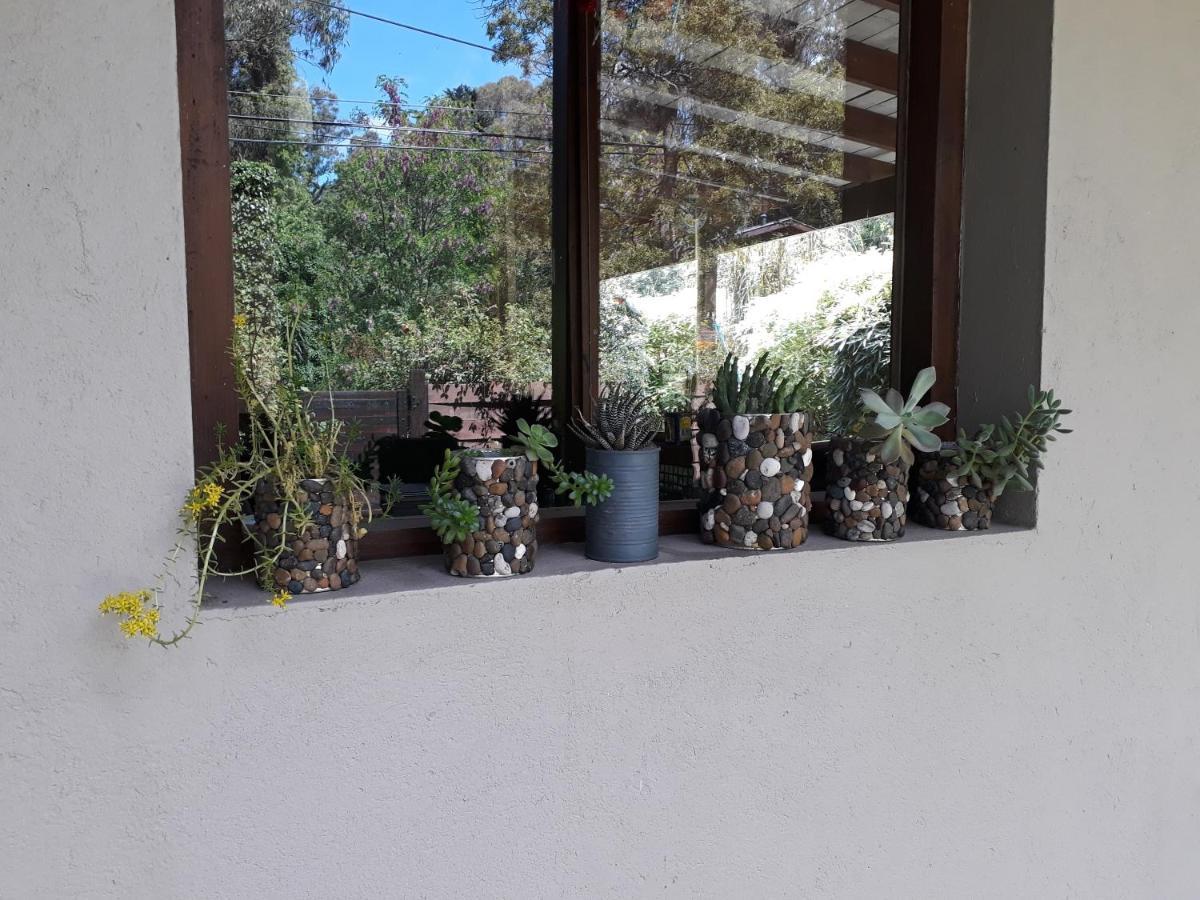 Las Cortaderas Bosque Peralta Ramos Mar del Plata Bagian luar foto