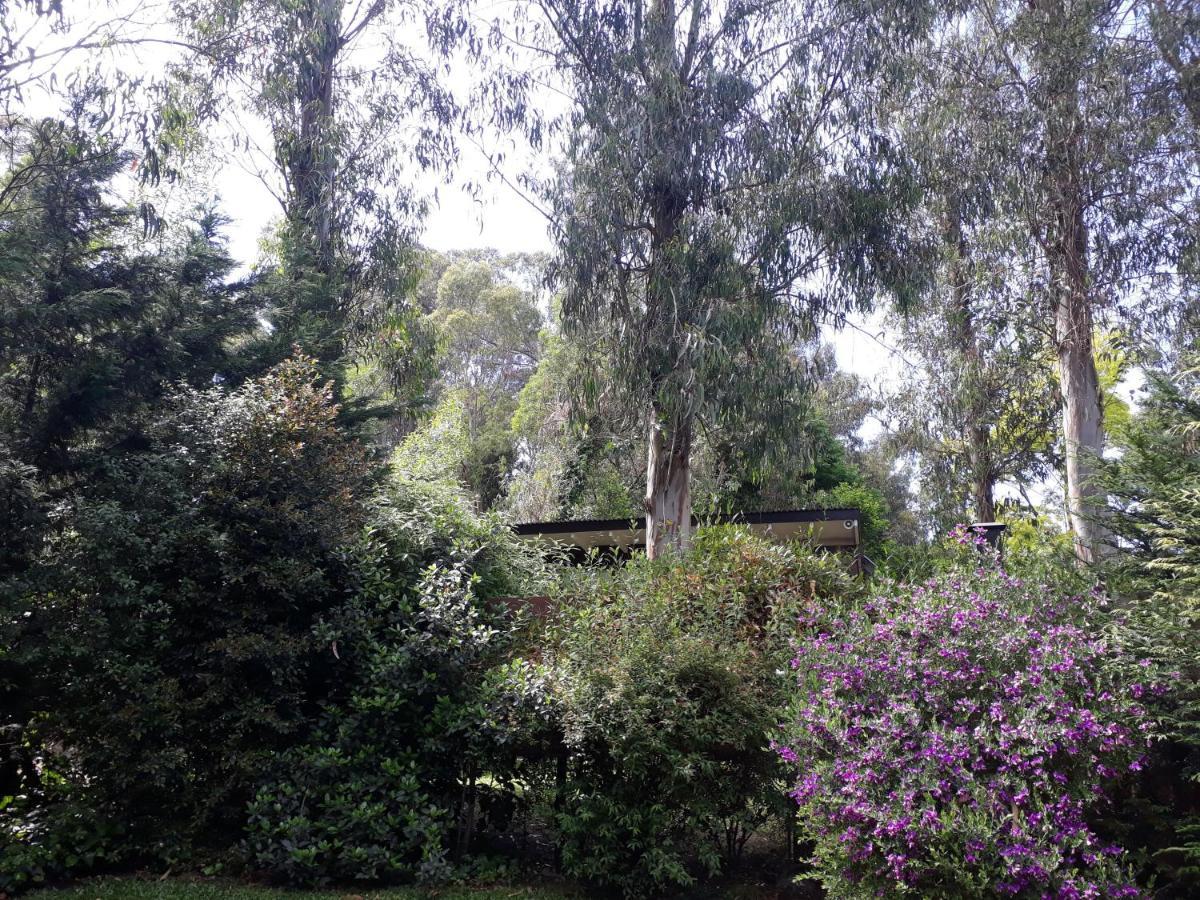 Las Cortaderas Bosque Peralta Ramos Mar del Plata Bagian luar foto