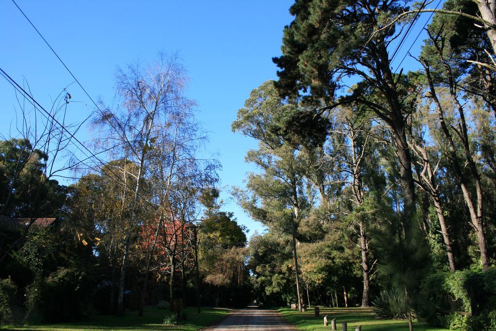 Las Cortaderas Bosque Peralta Ramos Mar del Plata Bagian luar foto